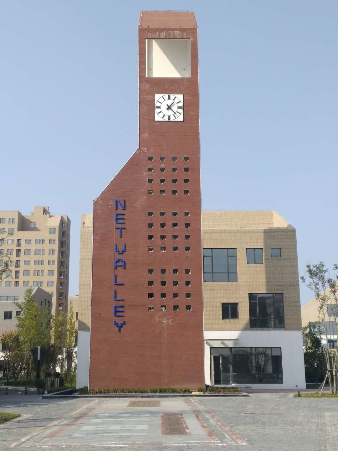 青島網谷